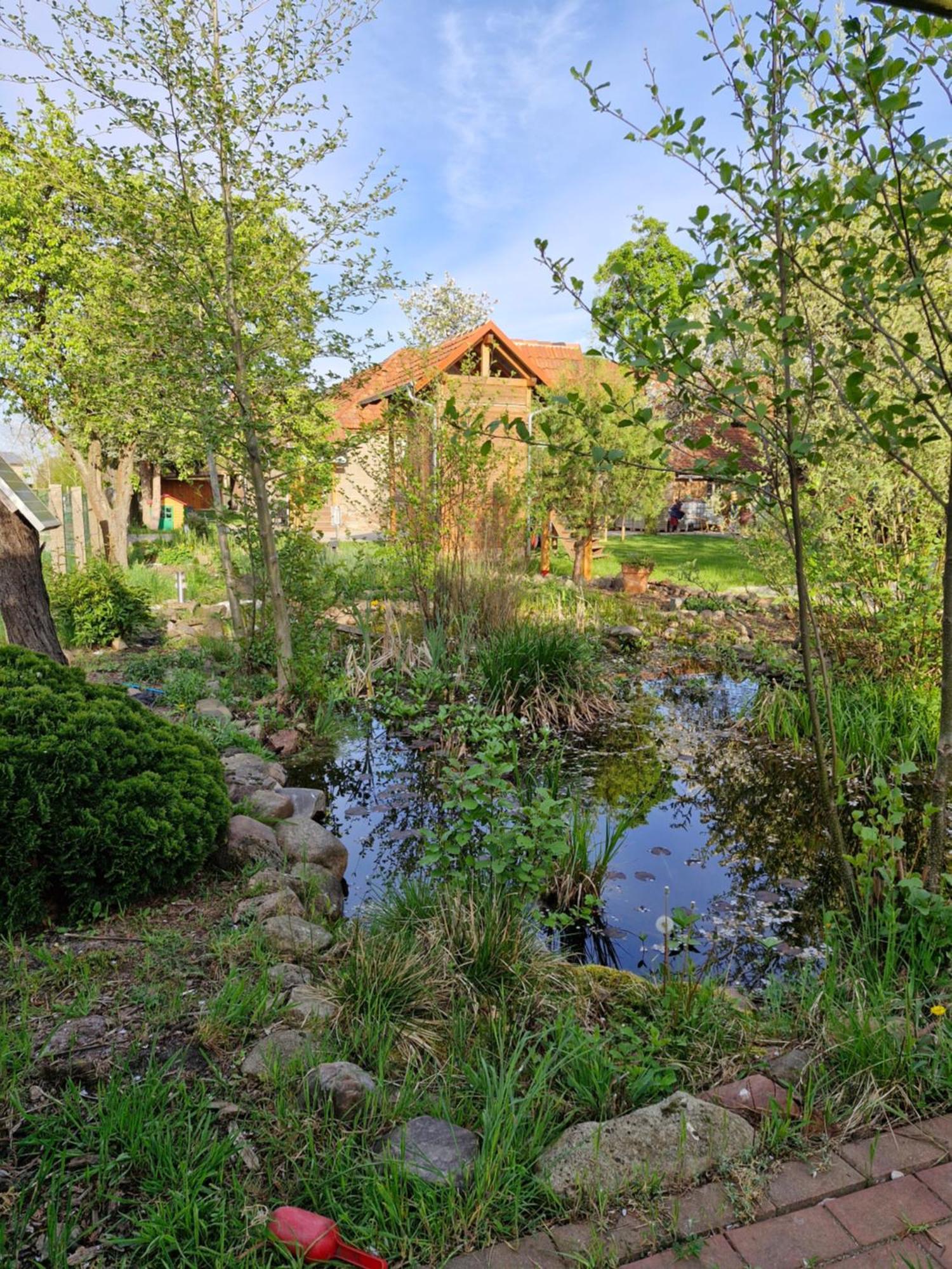 Ferienwohnung Garteneck Heideblick Extérieur photo