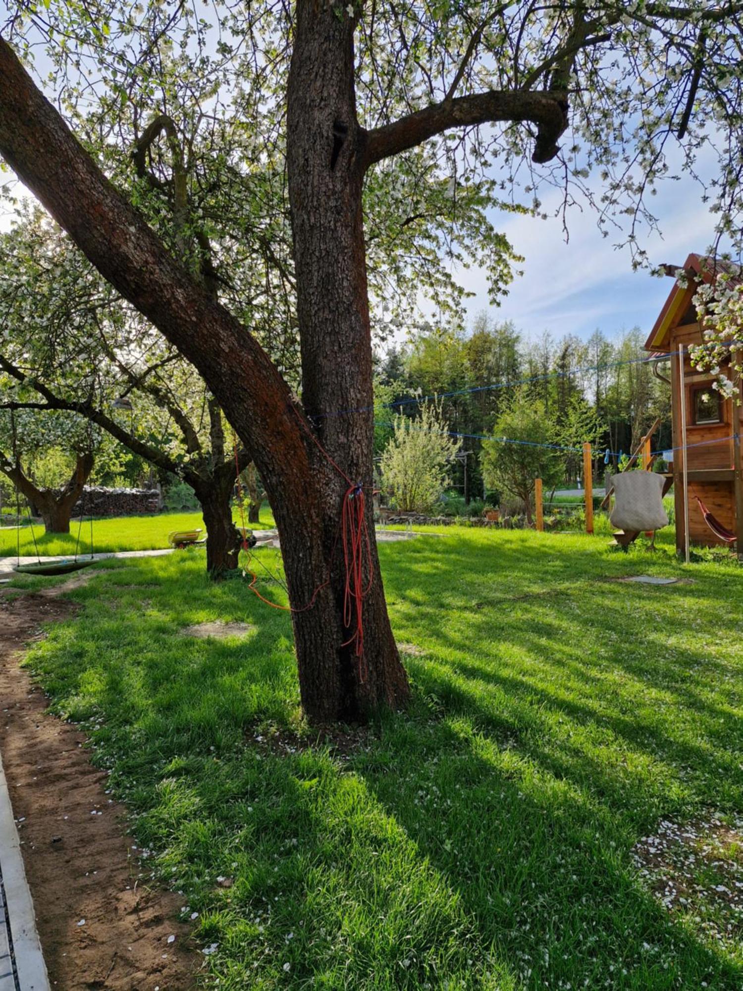 Ferienwohnung Garteneck Heideblick Extérieur photo